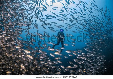 279 Philippine Tao Images, Stock Photos, 3D objects, .